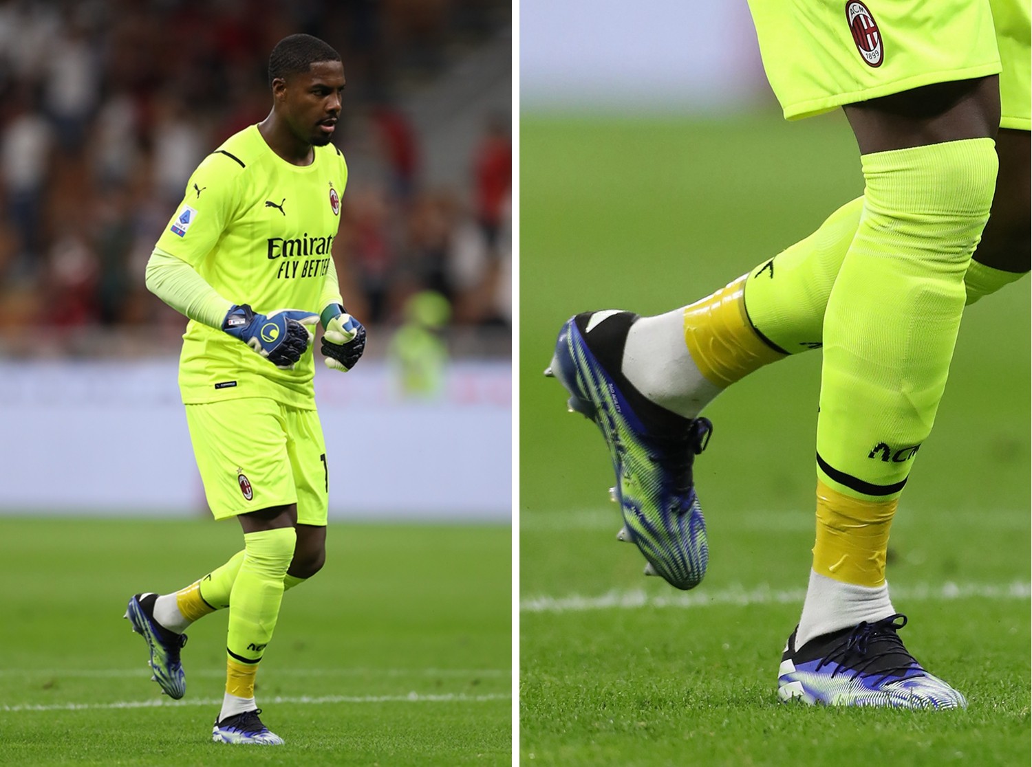 他不仅培养 他不仅培养